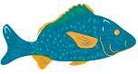 Peixe Equerdo